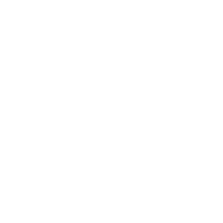 Logo Dominos Pizza
